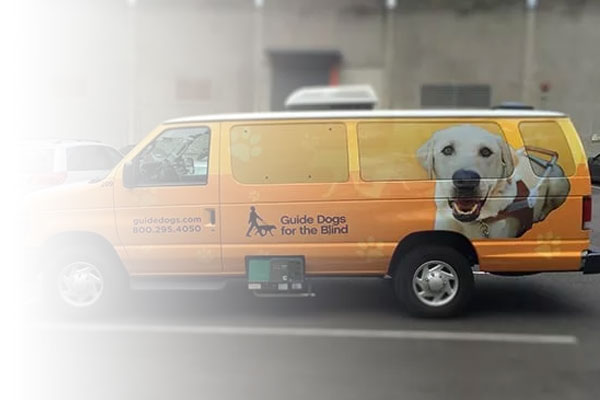 Perforated Window Graphics